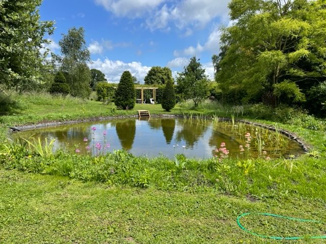 garden pond liner example