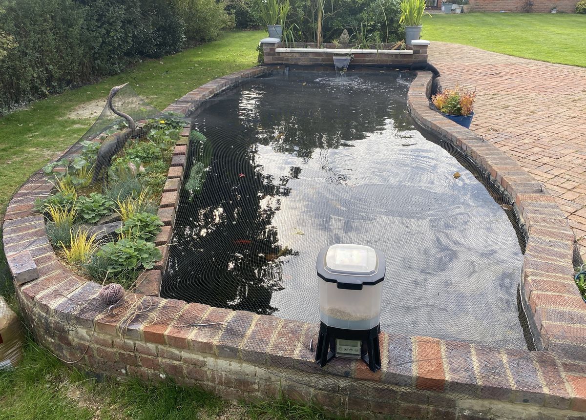 koi pond liner example